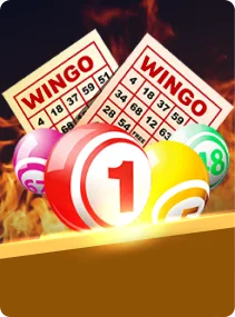 Wingo lottery